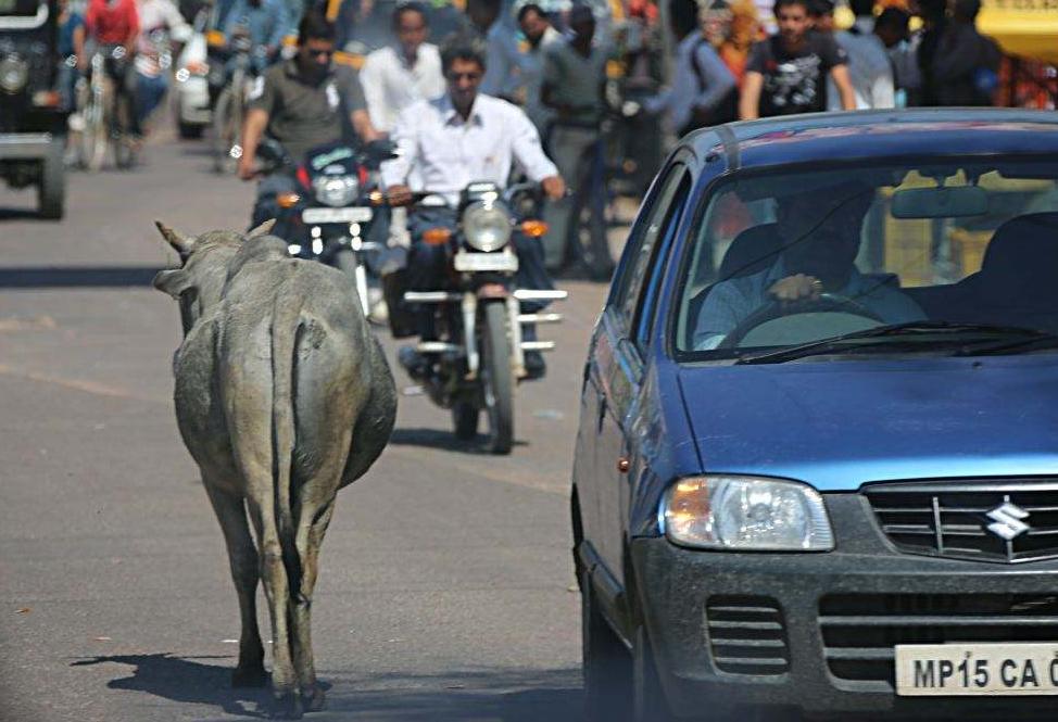 福特在印度10年亏129亿，9月9日宣布撤离印度（车车佳）